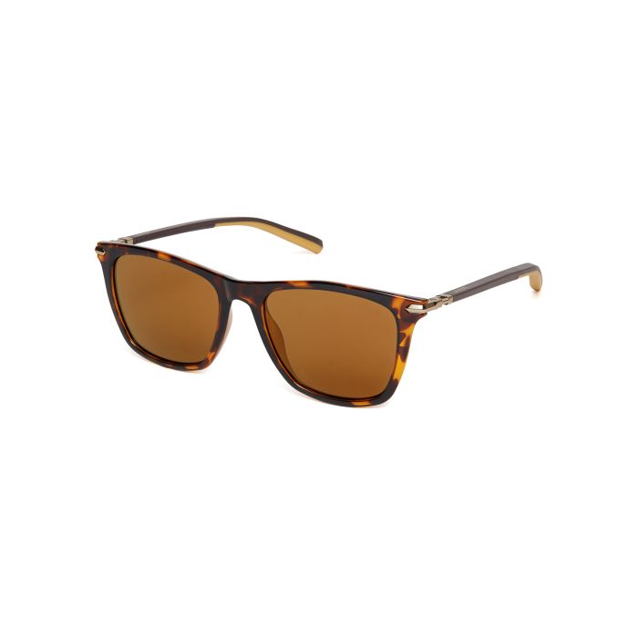 Sunglasses - Ducati Eyewear - TORTOISE